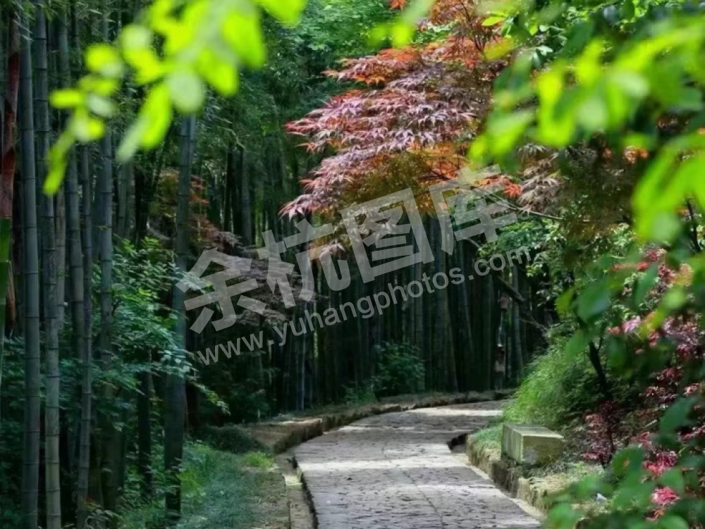 径山古道