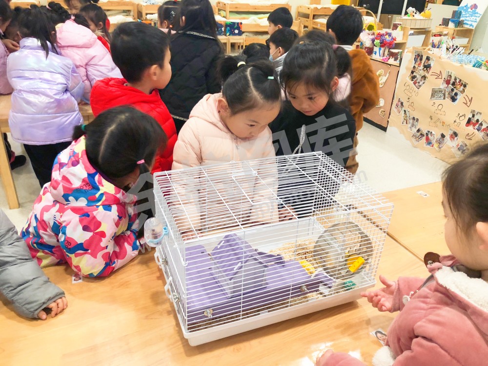 海创幼儿园