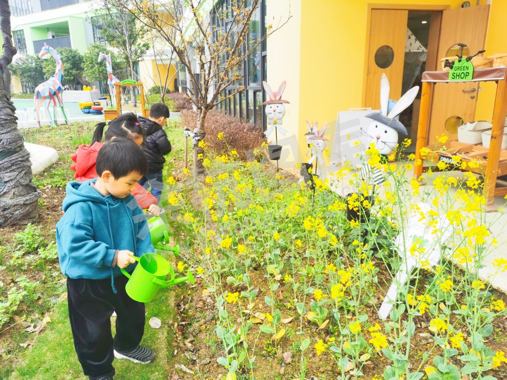 海创幼儿园
