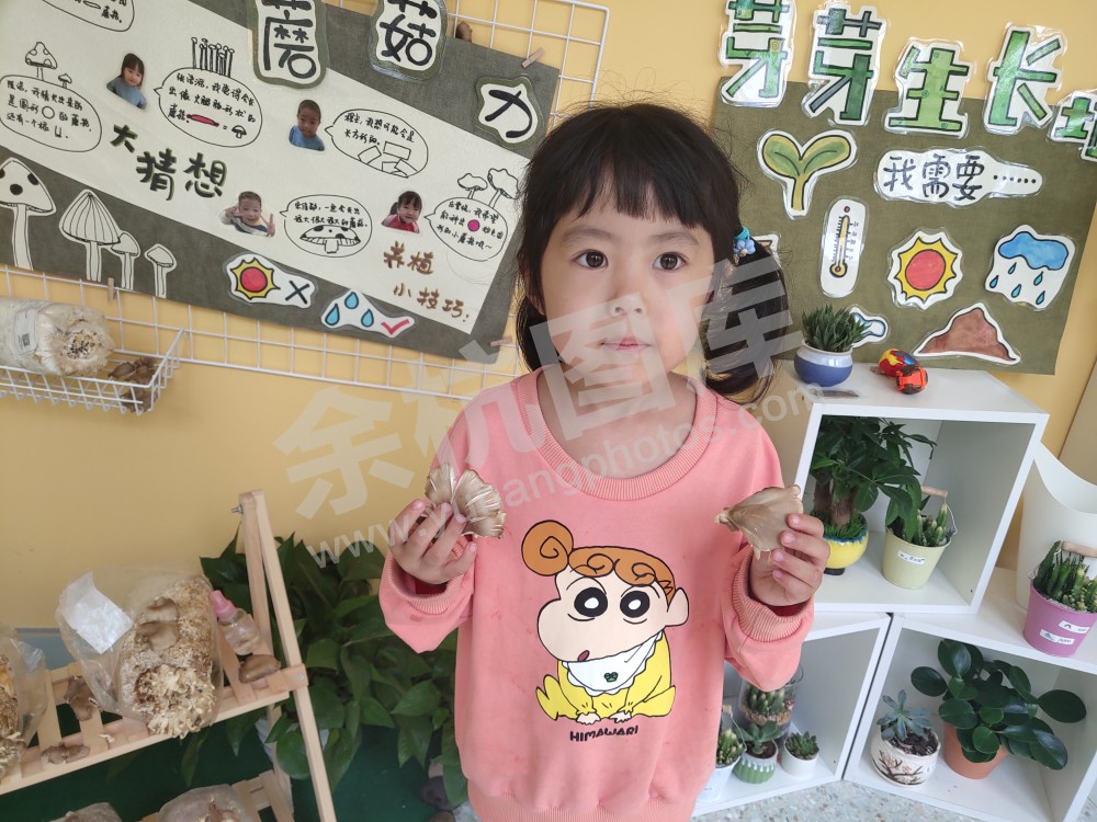 海创幼儿园