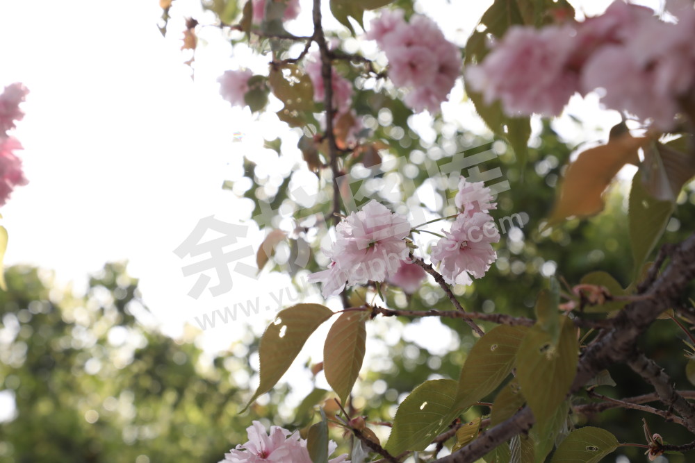 余杭城管市容整改