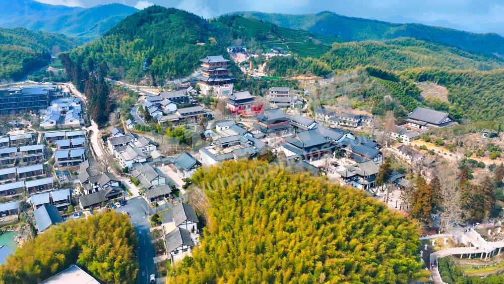 径山寺玉兰花