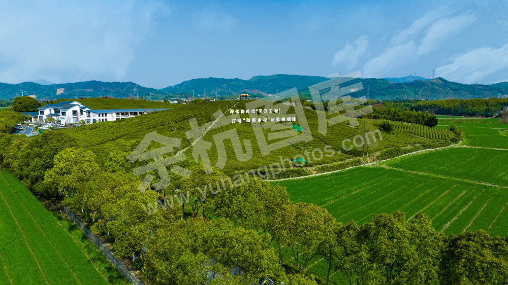径山茶山
