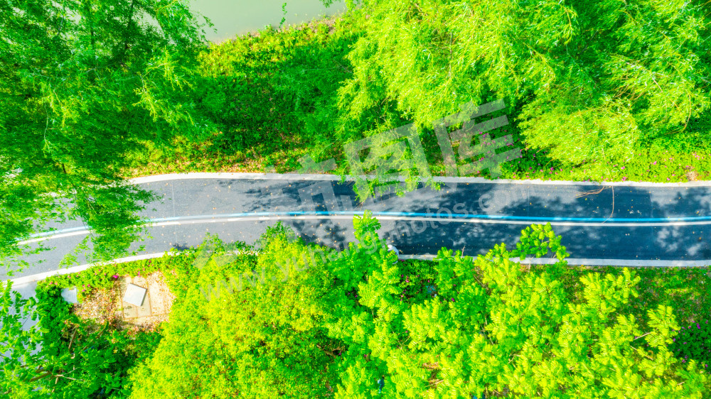 中央商务区绿道一期