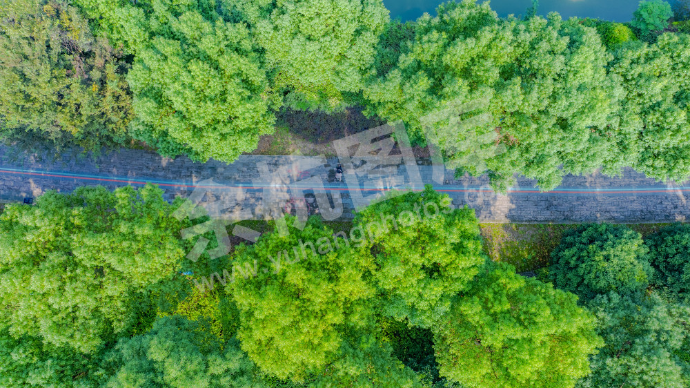 良渚遗址片区绿道