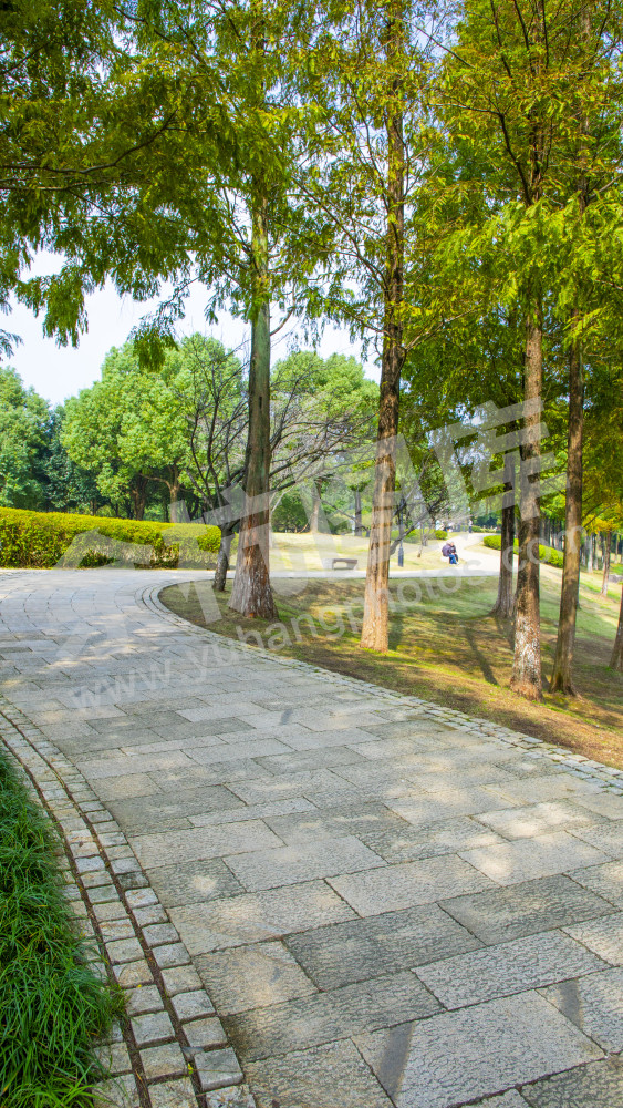 良渚遗址片区绿道