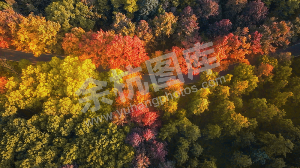 径山