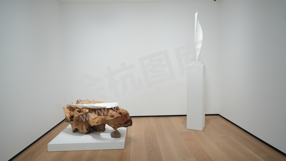 桉画廊