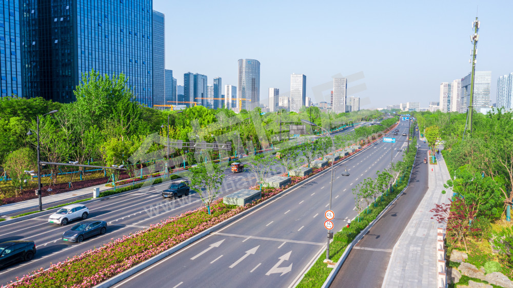 文一西路花卉