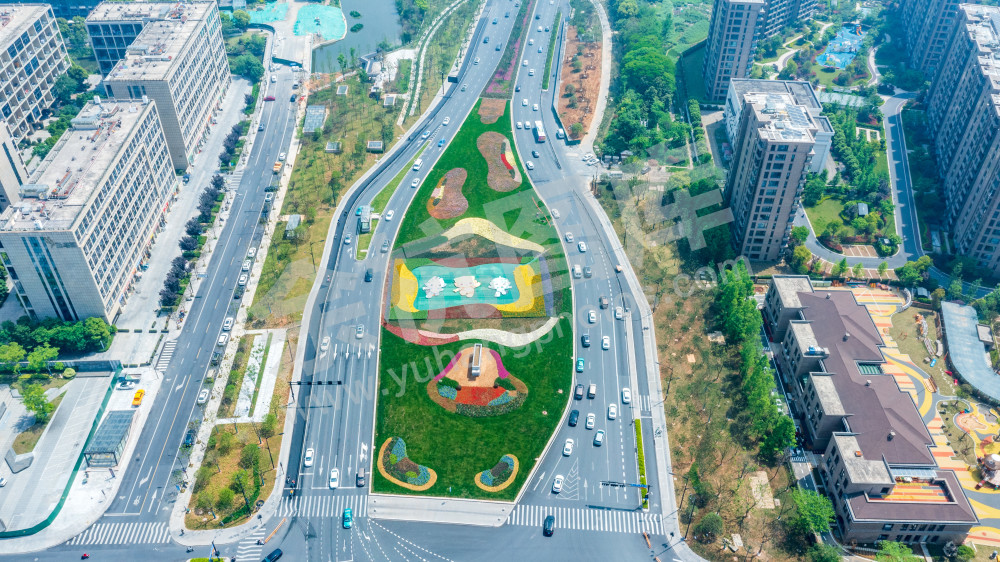 文一西路花卉
