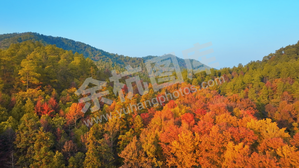 径山