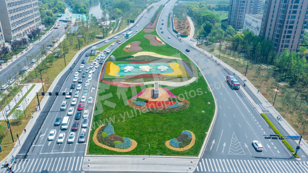文一西路花卉