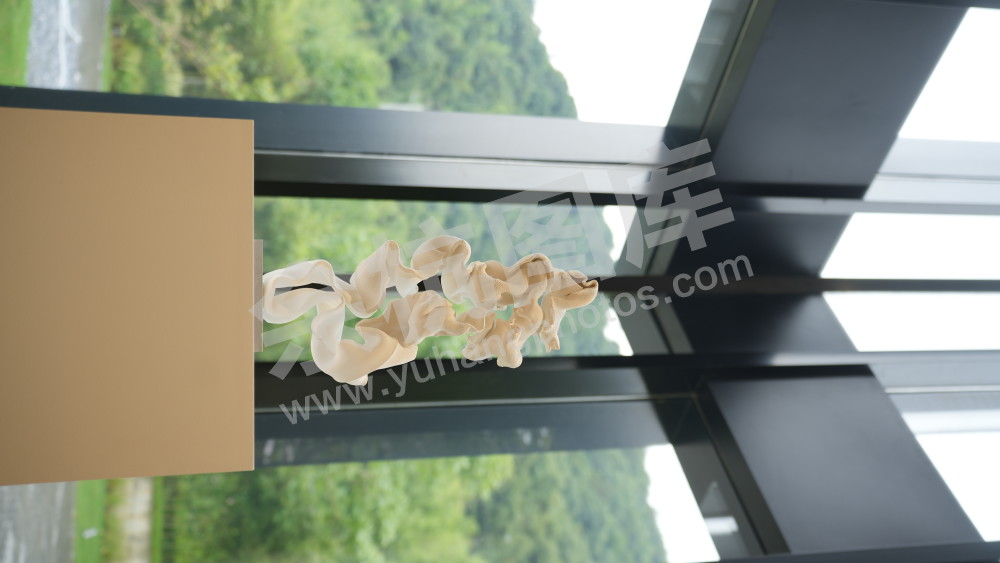 桉画廊