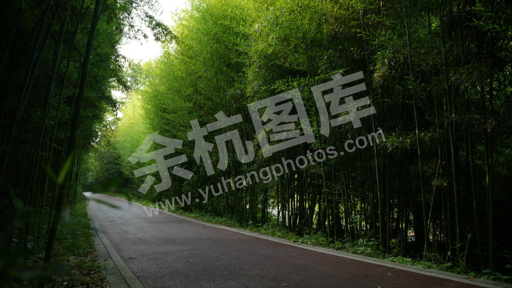 径山绿道