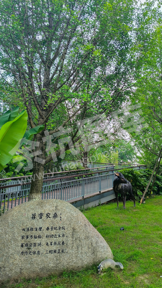 径山咖啡馆