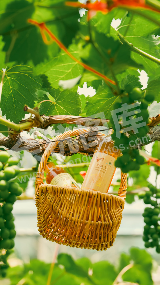 山果湾葡萄酒