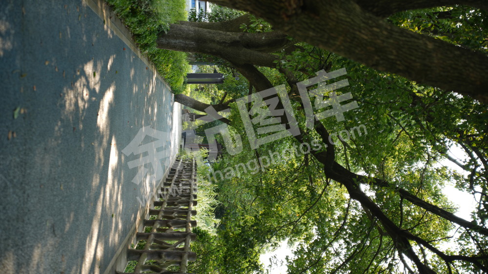 径山绿道