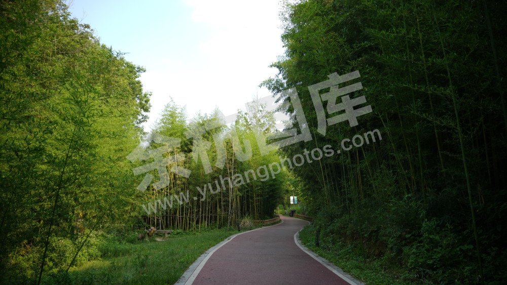 径山绿道