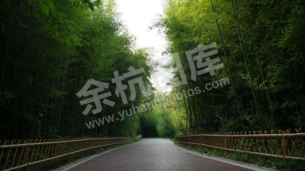 径山绿道