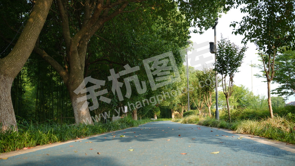 径山绿道