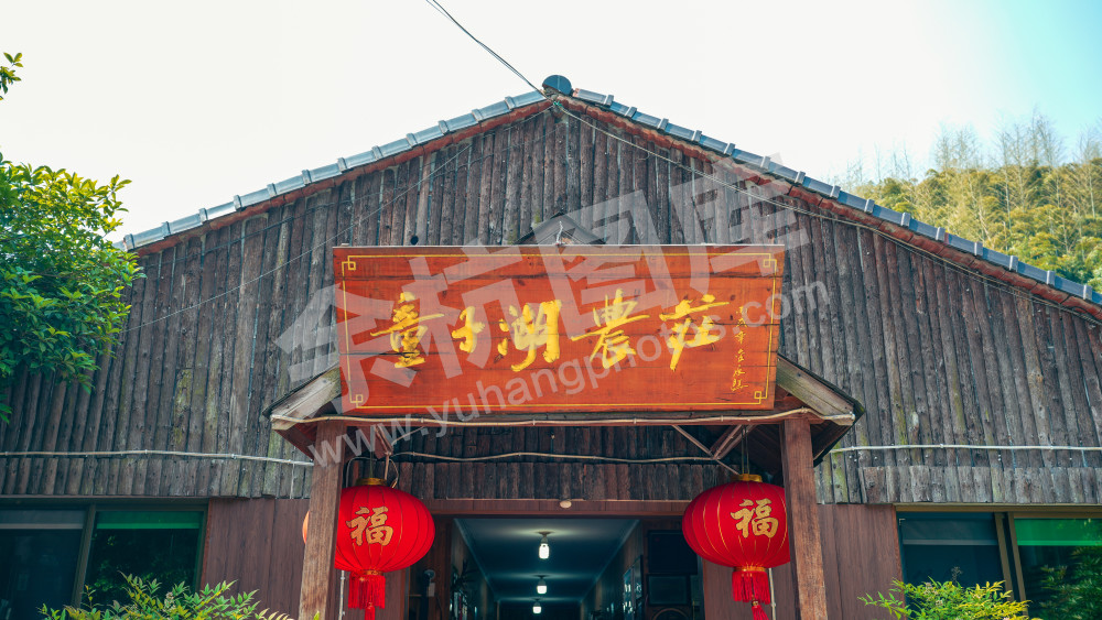 绣球花