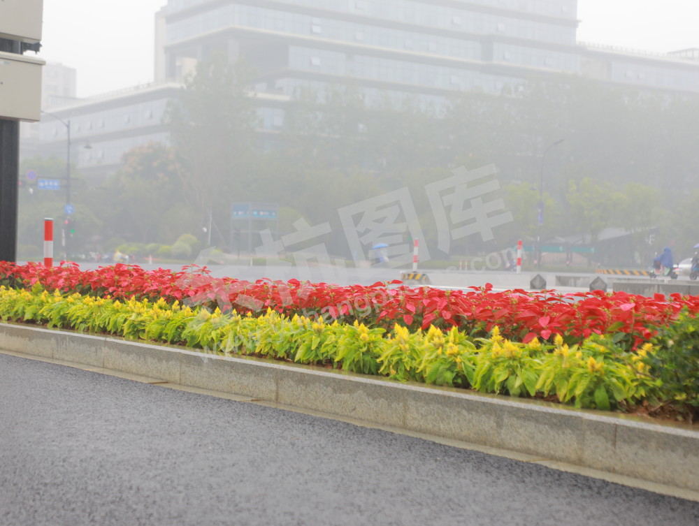 国庆余杭街头
