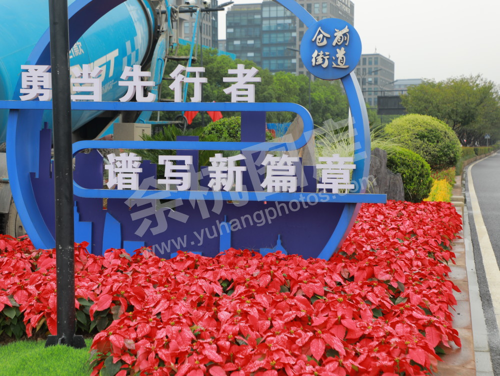 国庆余杭街头