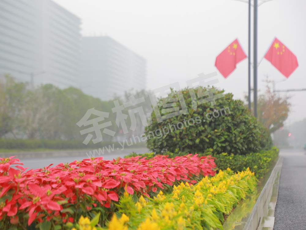 国庆余杭街头