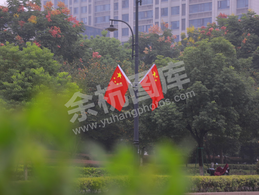 国庆余杭街头
