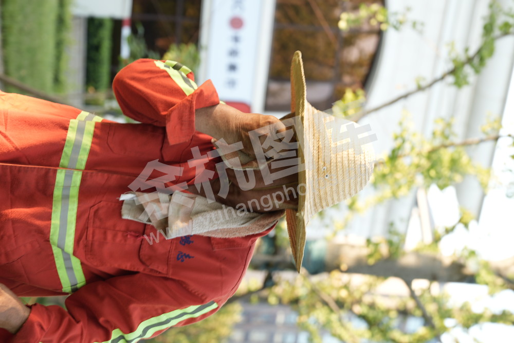 余杭战高温