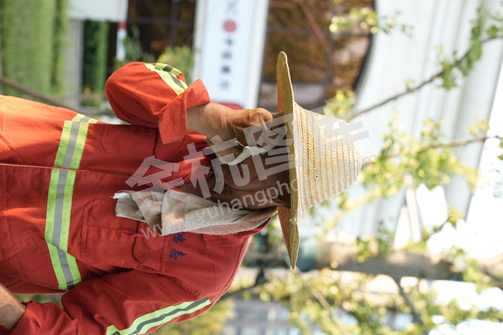 余杭战高温