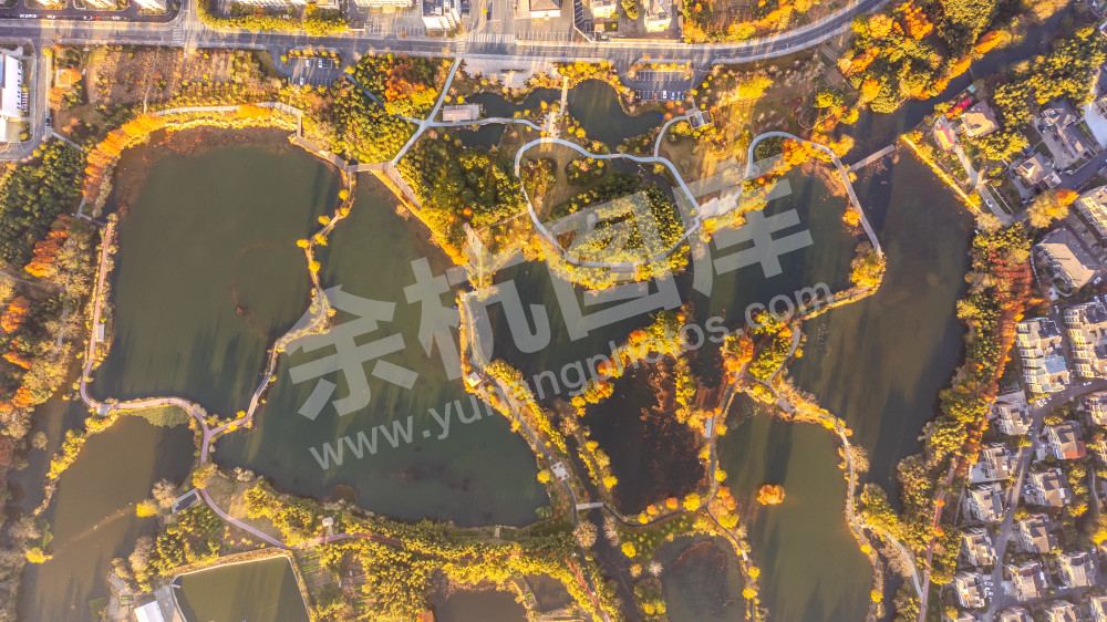 镜潭湖湿地公园秋风貌