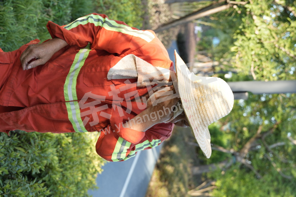 余杭战高温