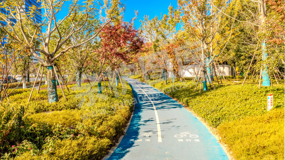 文一西路