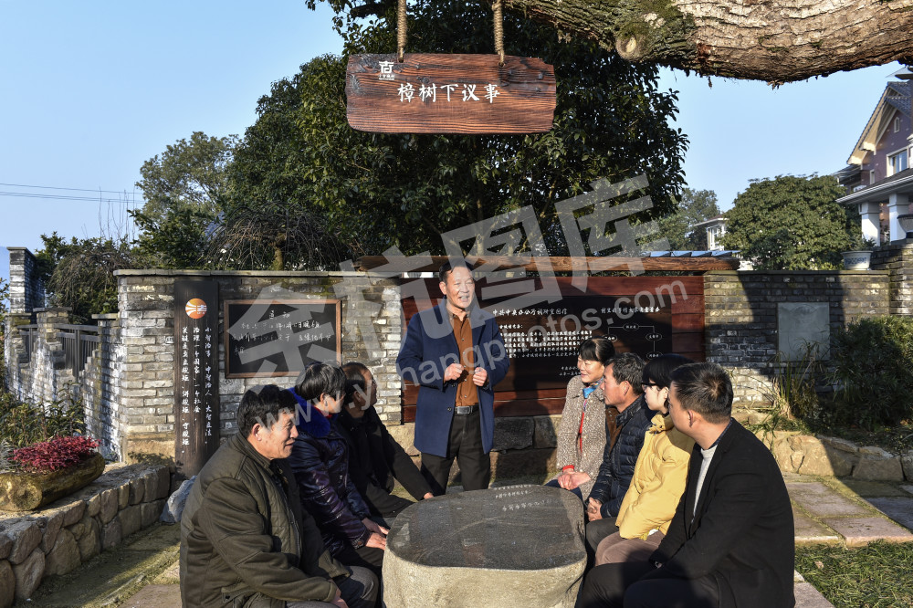 樟树下议事