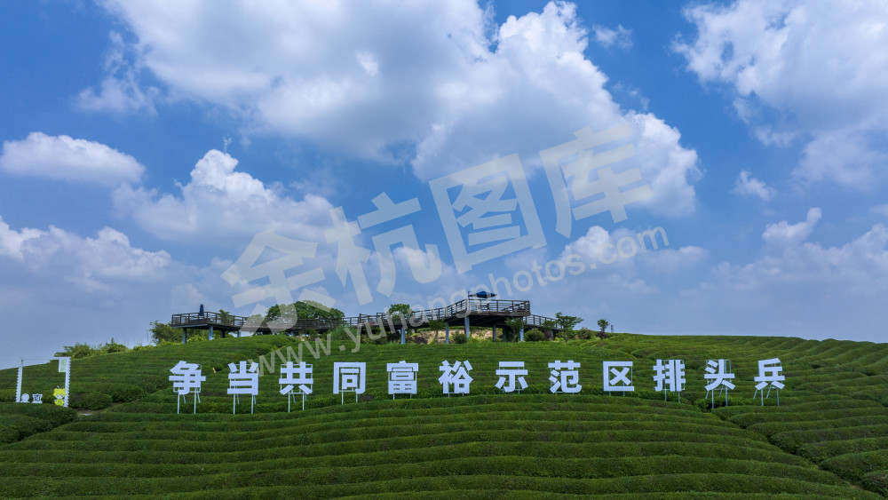 小古城茶山
