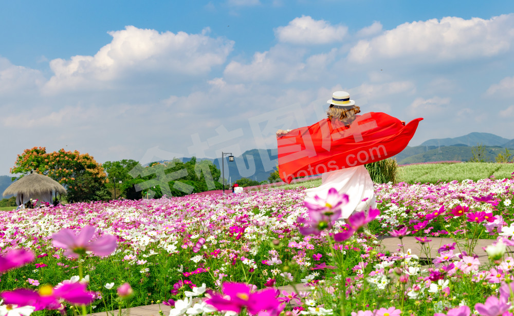 花海