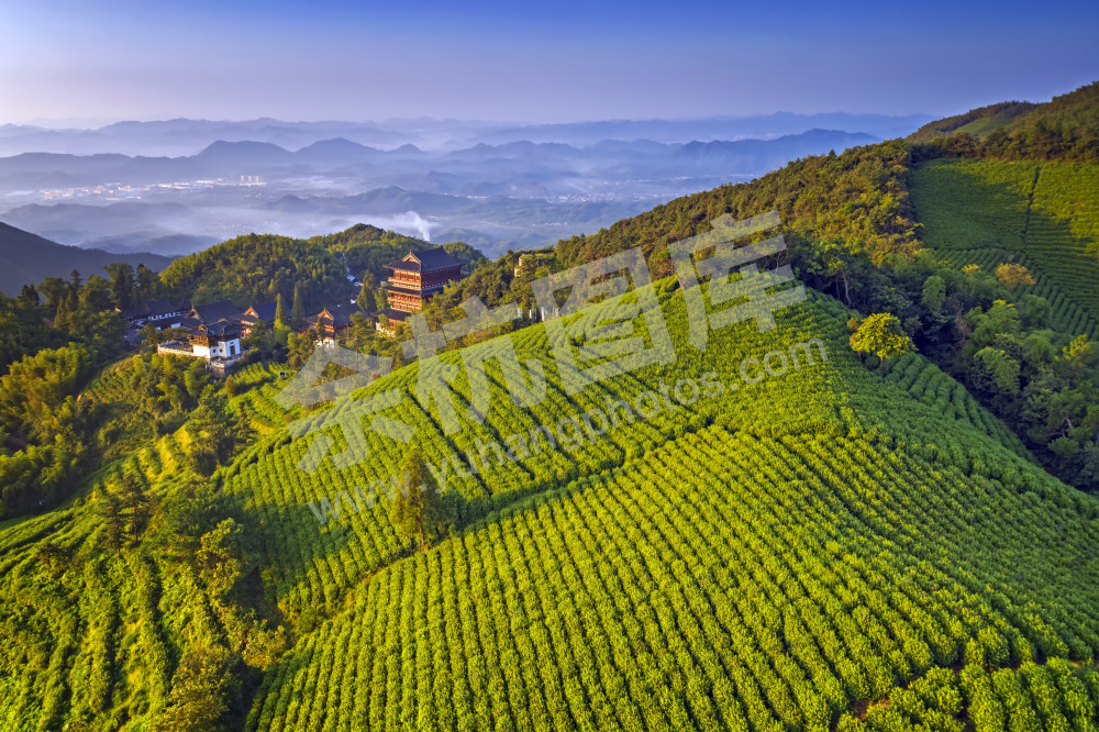 径山寺茶园