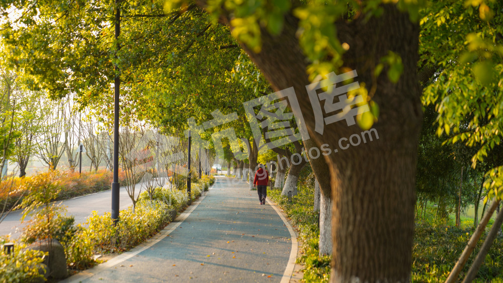 苕溪两岸