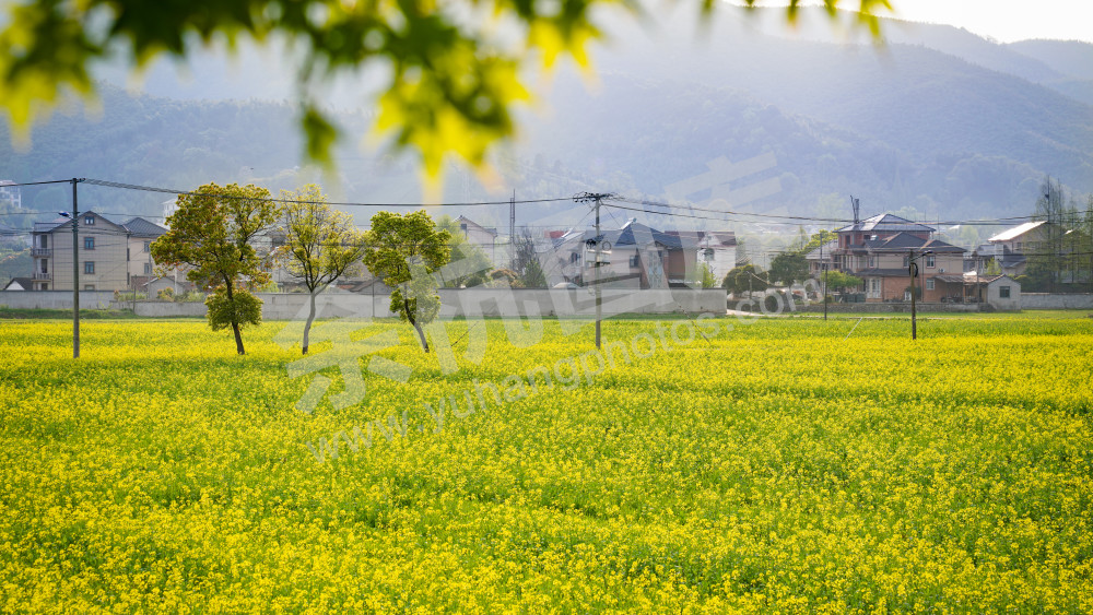 苕溪两岸