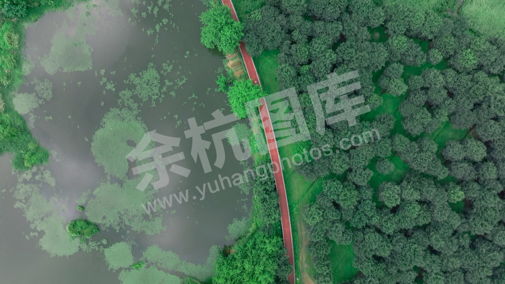 绿道