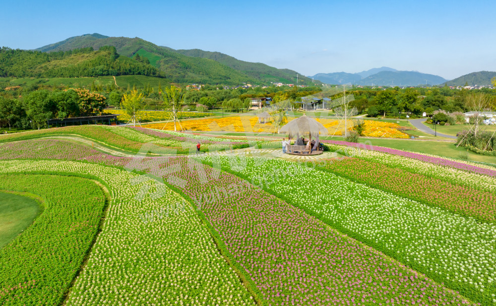 花海