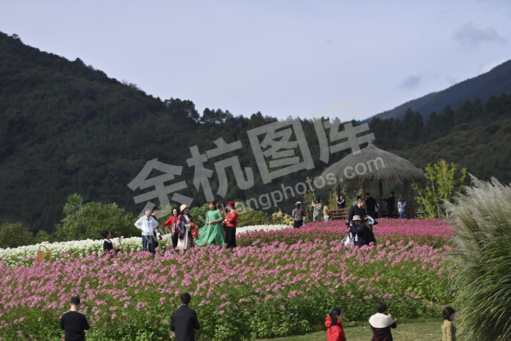 花海