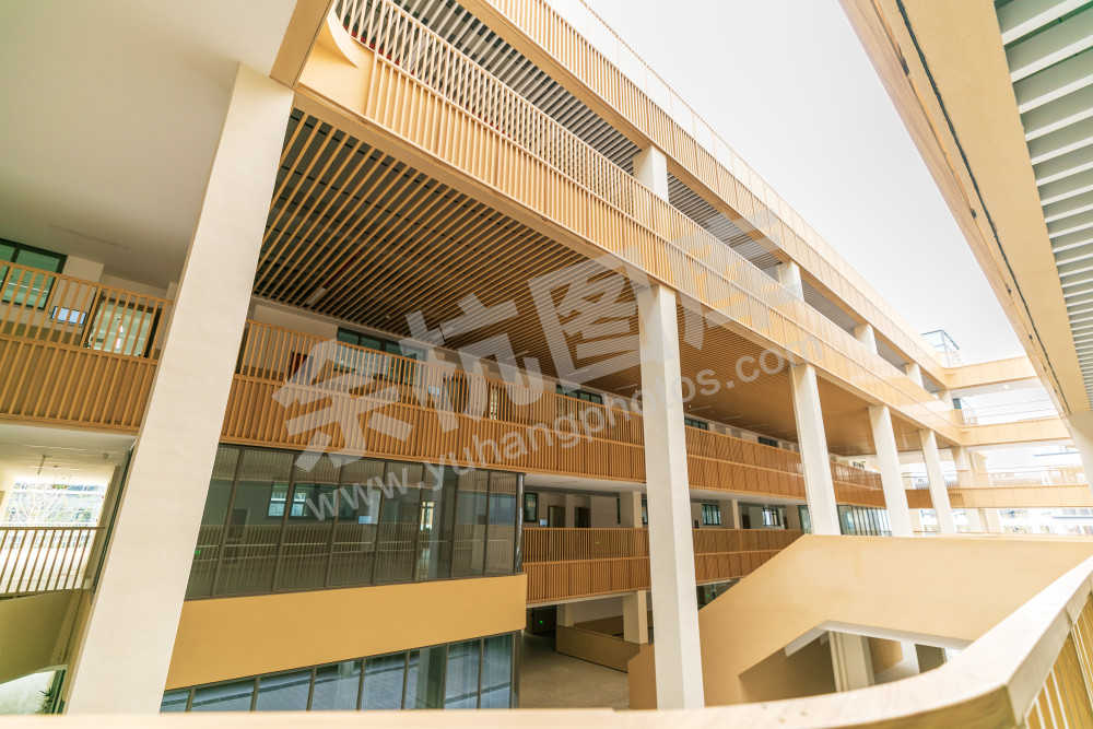 玉鸟小学
