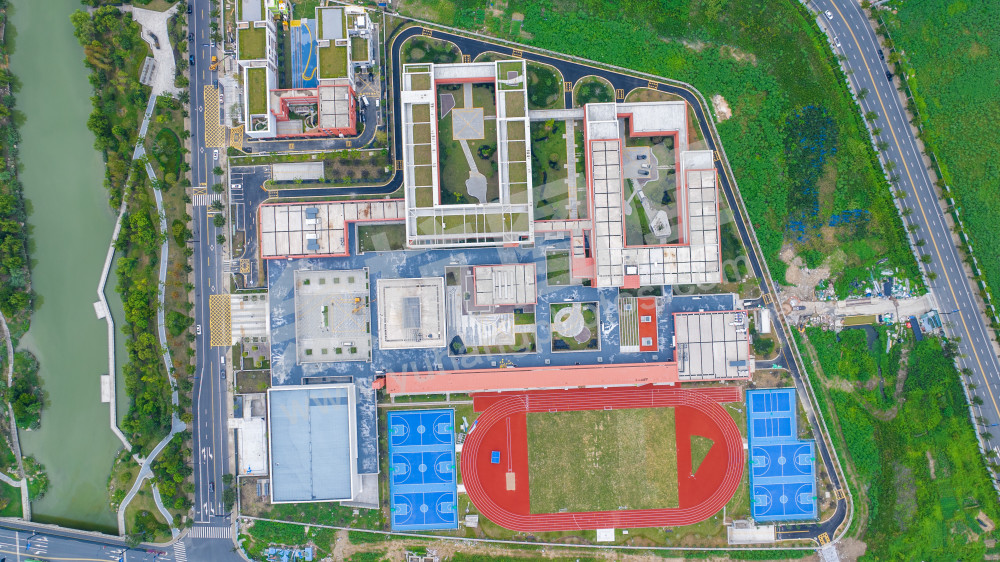 育才小学