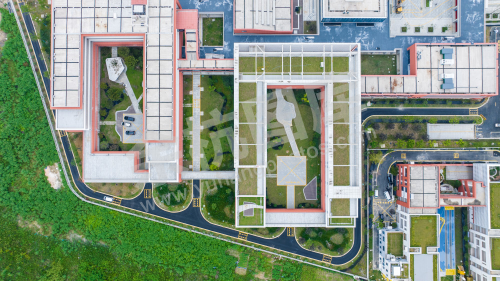 育才小学