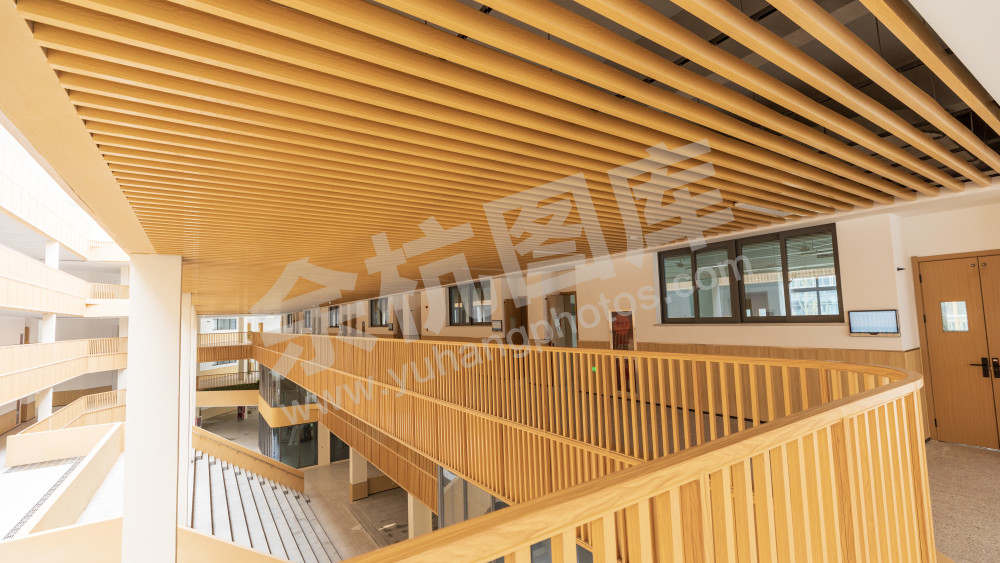 玉鸟小学
