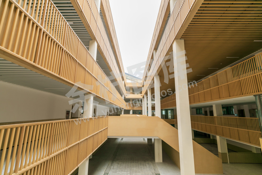 玉鸟小学