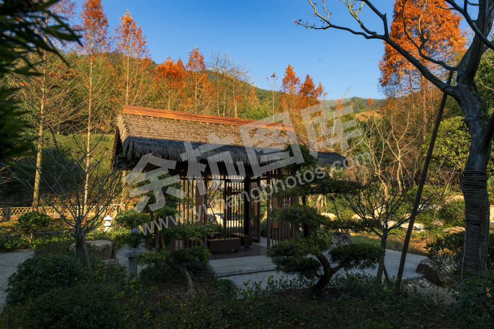 径山村 