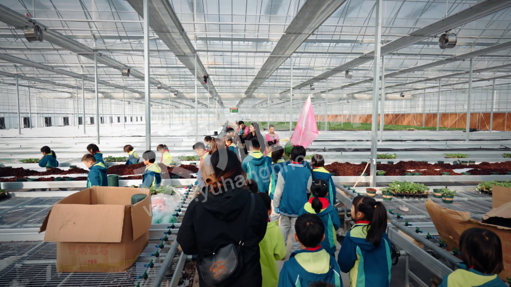 宇航梦园草莓种植体验 